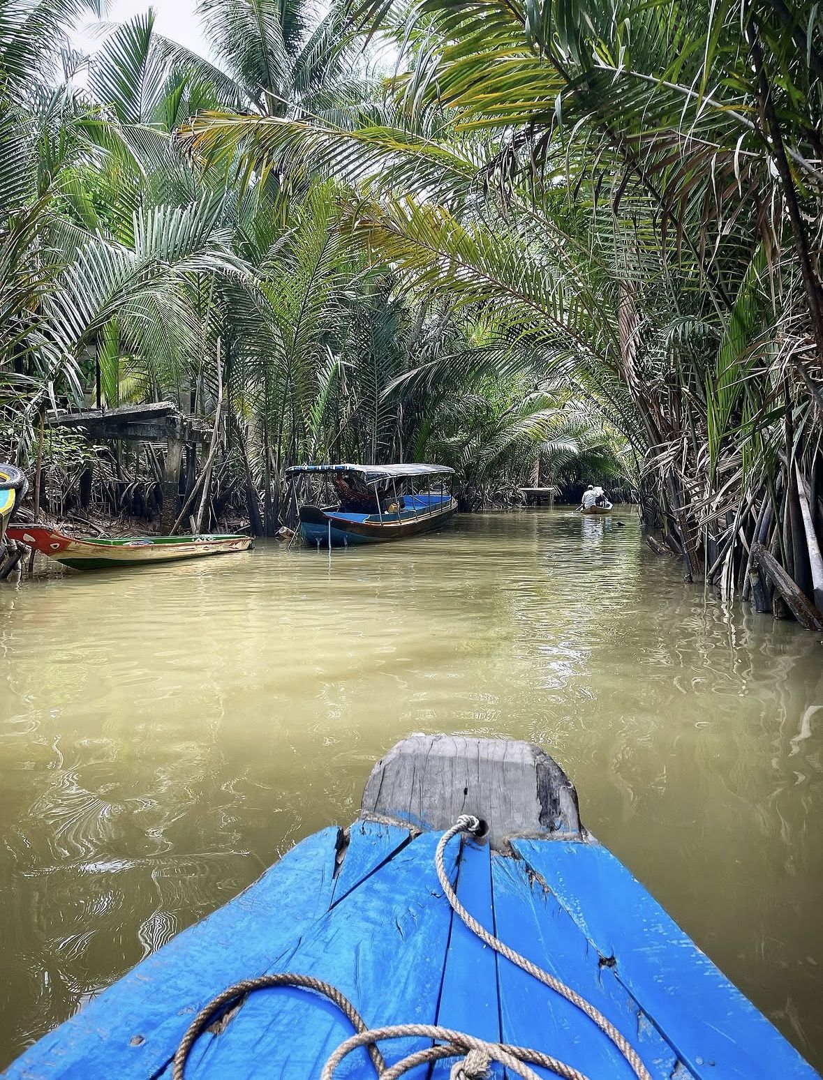 Cu Chi Tunnels & Mekong Delta with Coconut Village Tour
